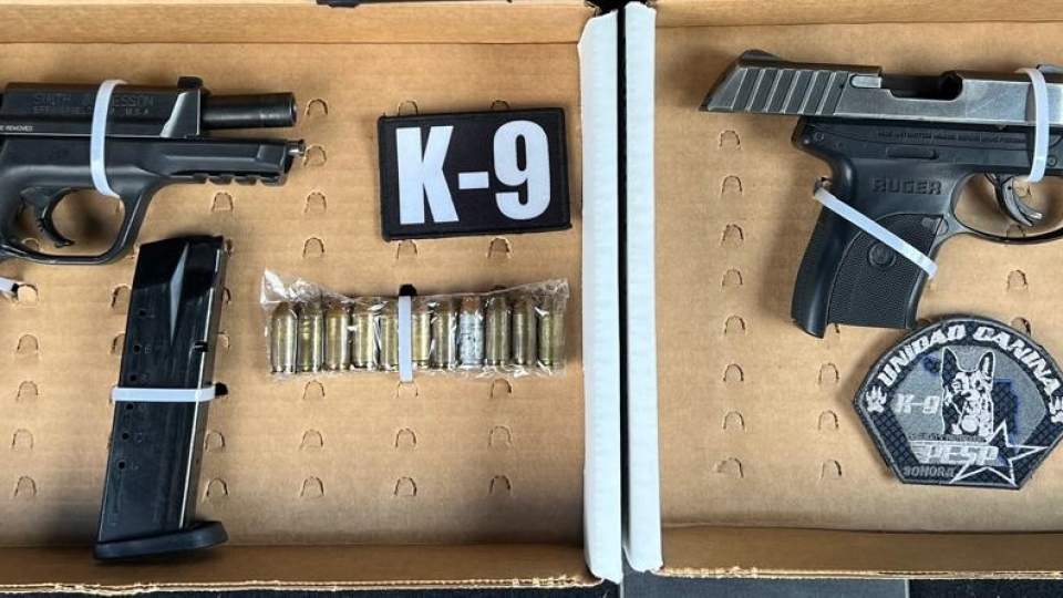 Binomios caninos del Gobierno de Sonora interceptan a personas armadas